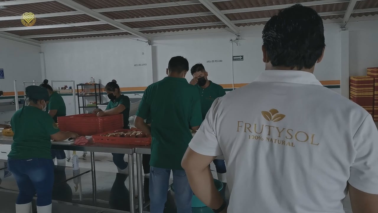 Frutysol