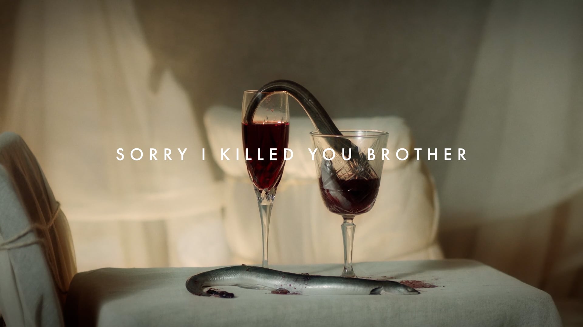 Sorry I killed you brother (Korte film)