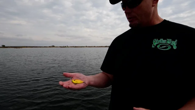 Strike King Red Eyed Shad Tungsten 2 Tap Gold Black – Hammonds Fishing