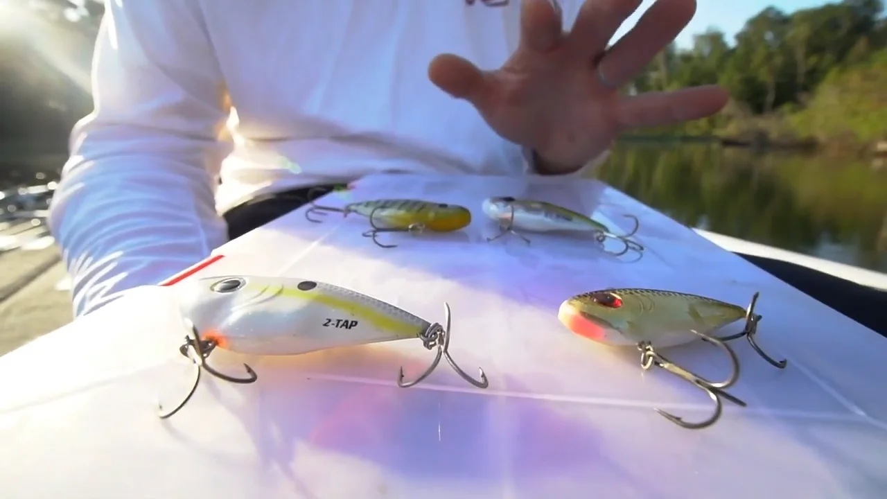 SHISHIKUI 完売 eyelet P RED シシクイ アイレット Strike King Red Eyed Bitsy Shad - 1.5 Inch — Discount Tackle