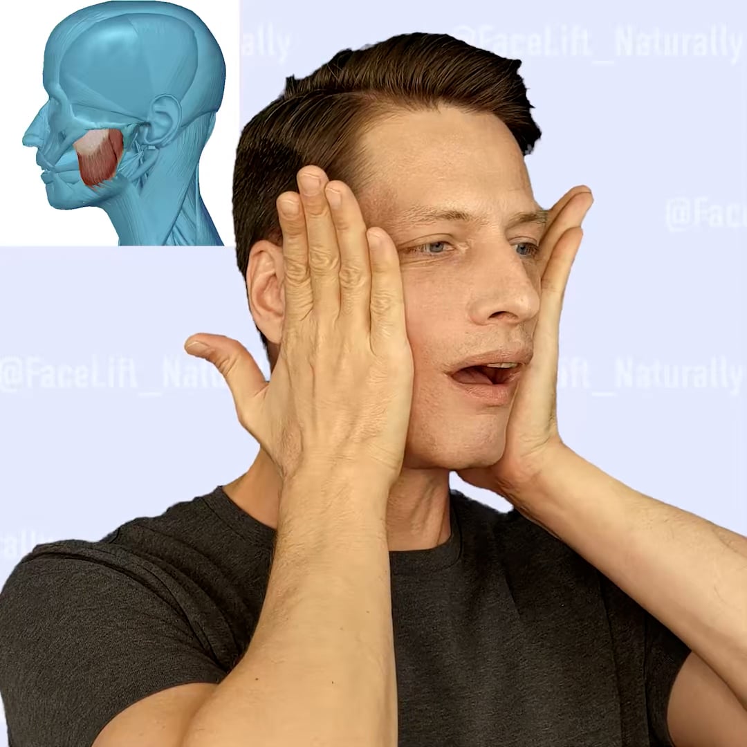 30 Chewing muscles modeling_RU_colour on Vimeo