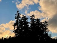 Gratitude Song Bath Sanctuary