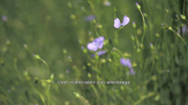 Bijeenkomst Hernieuwbare grondstof Vlas, van basis tot hightech