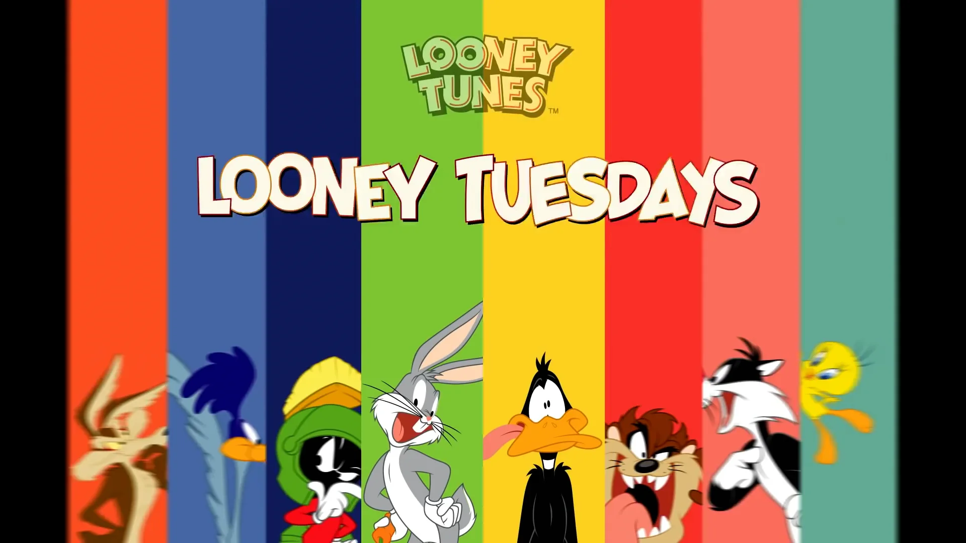 Looney Tuesdays, Iconic Duo: Wile E. Coyote & Road Runner, Looney Tunes