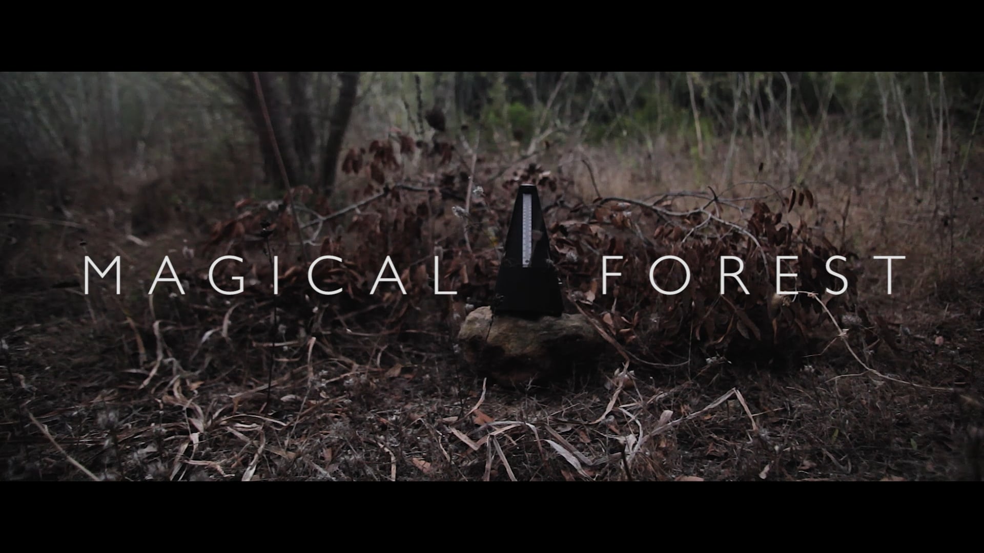 MAGICAL FOREST