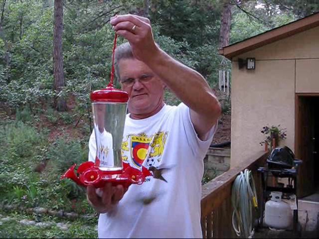 Hummingbird Feeder