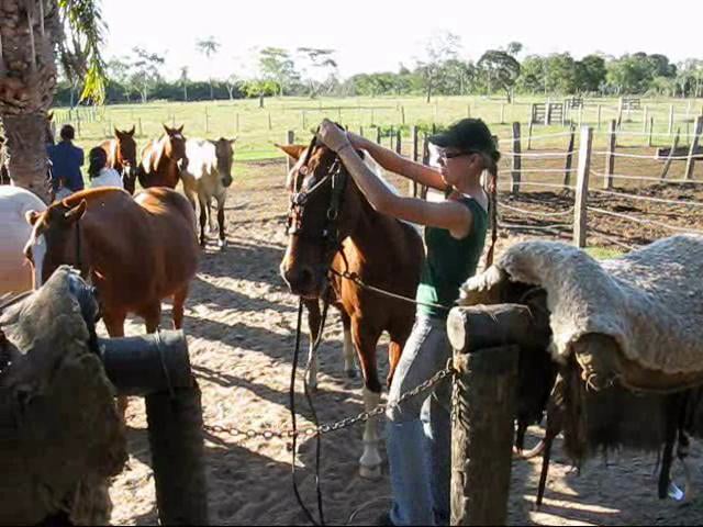 Saddling Horses, Pousada Xaraés