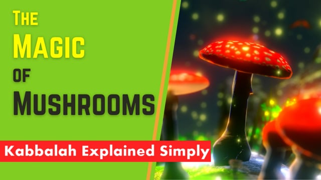 The Magic of Mushrooms