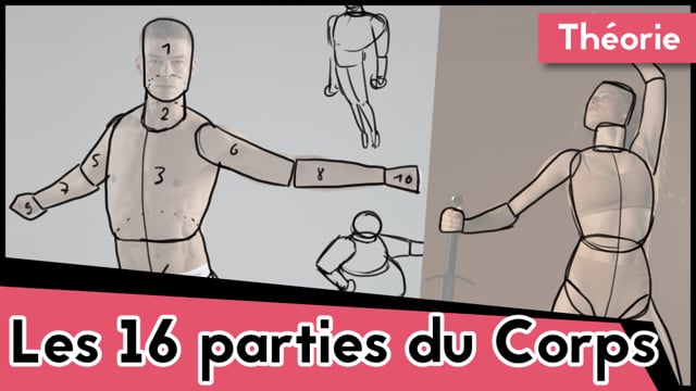 Observer le corps humain 1 - Proportions et points de repère