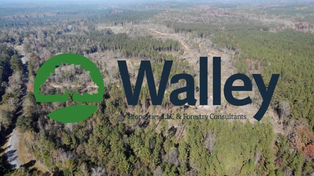 192 Acres In Jasper County Mississippi