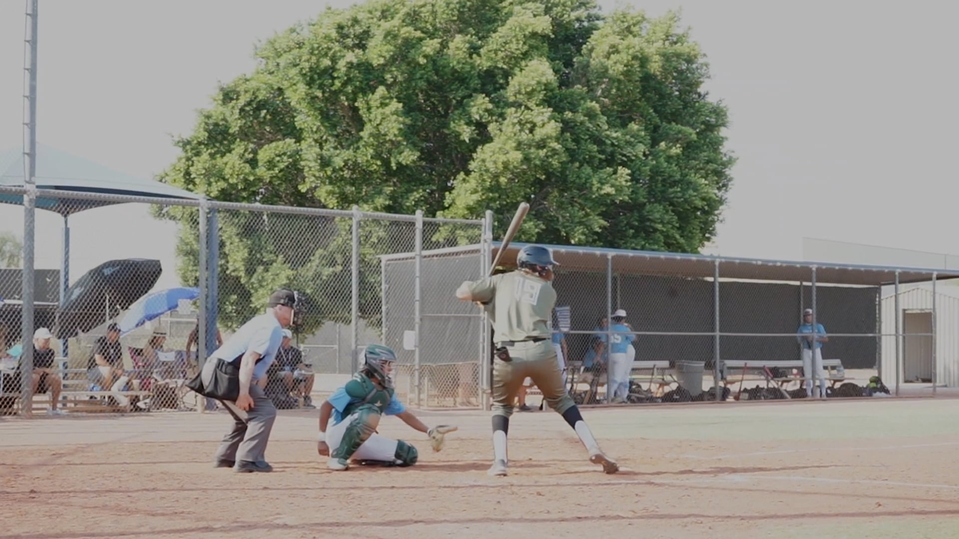 Alpha Baseball 2021