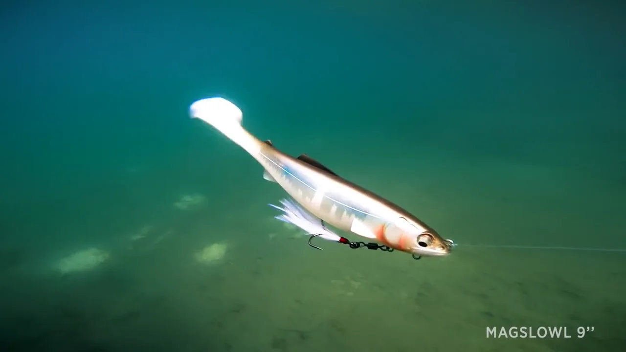 Swimmy Fish Excellent leurre méné hyper réaliste – Target Baits Leurres
