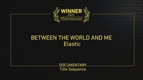 Between the World and Me (2021)