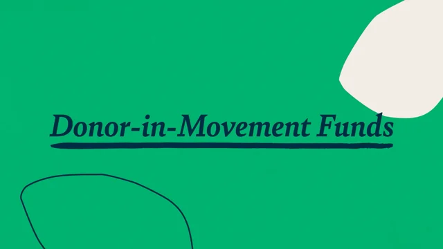 Donor-in-Movement Funds - Seeding Justice
