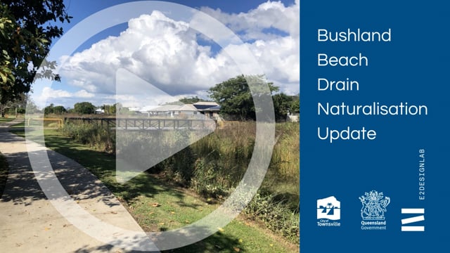 Bushland Beach Drain Naturalisation Update 