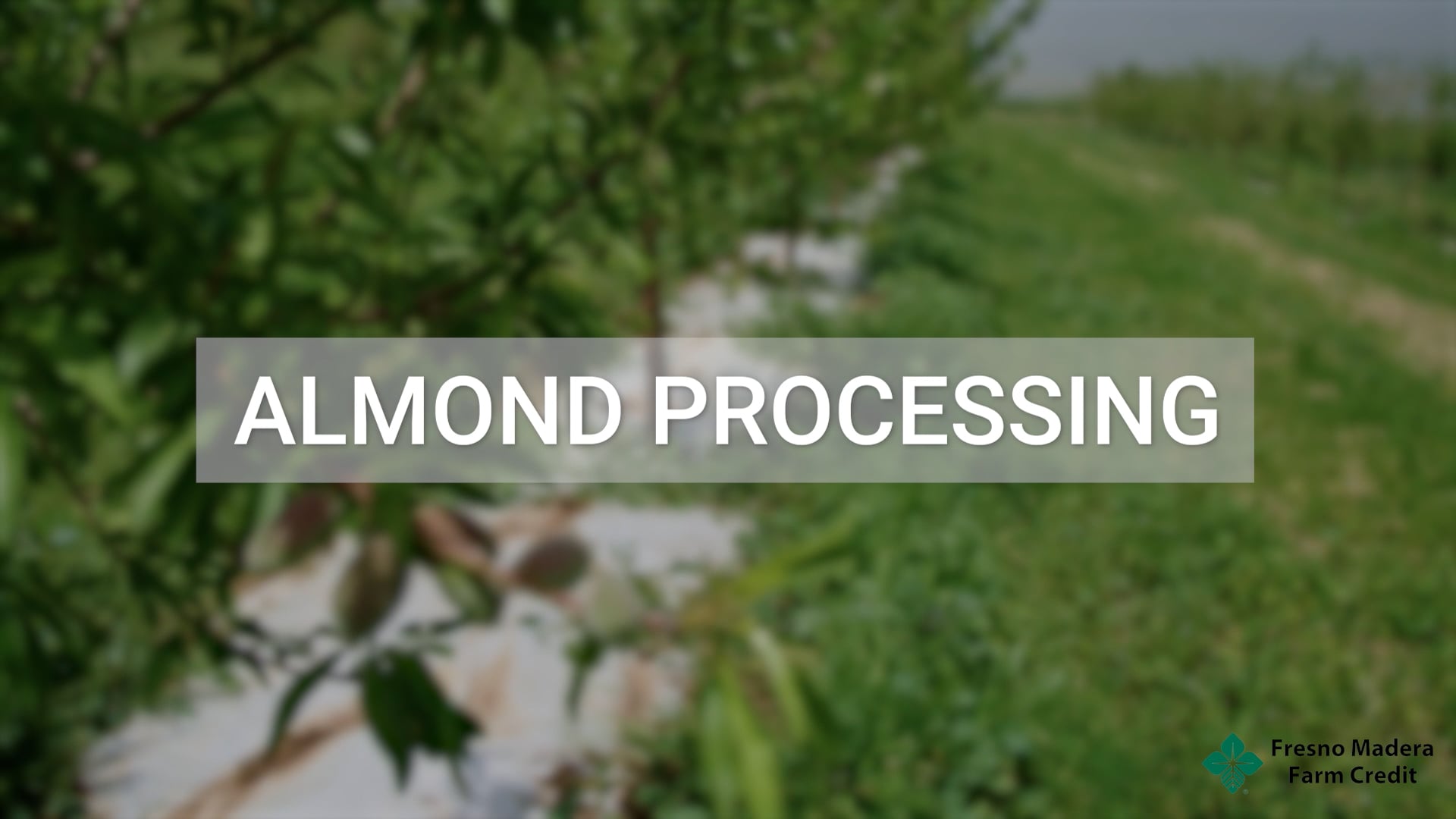 Almond Processing | Fresno Madera Farm Credit