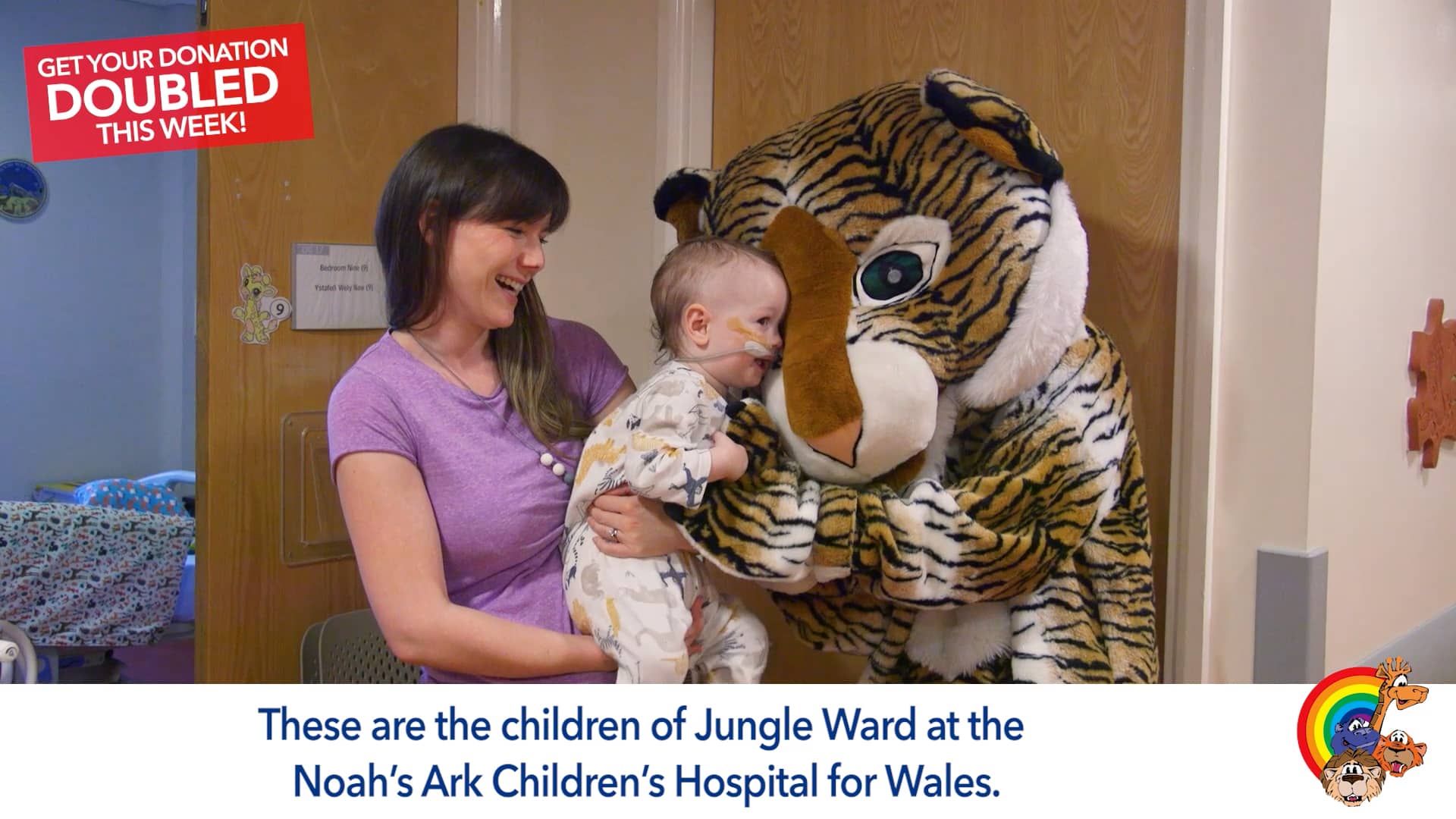 Jungle Ward Appeal relaunch video on Vimeo