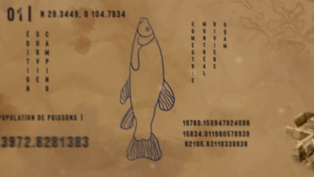 En mode survie | Émission 2