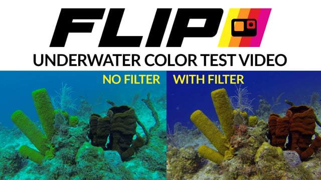 FLIP Filters | Professional Underwater Color Filters for GoPro