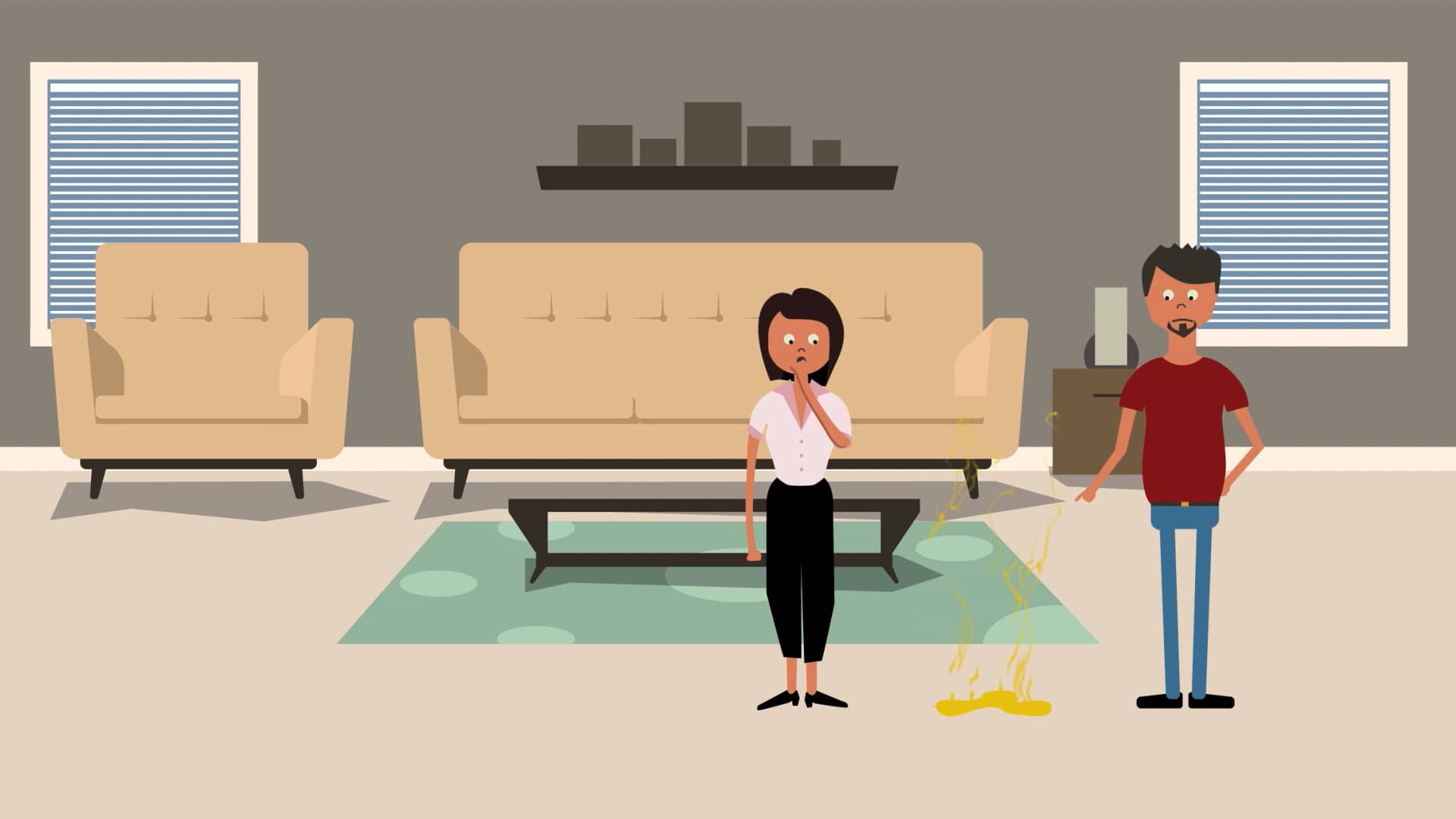 ChemDry Pet Urine Removal Treatment on Vimeo