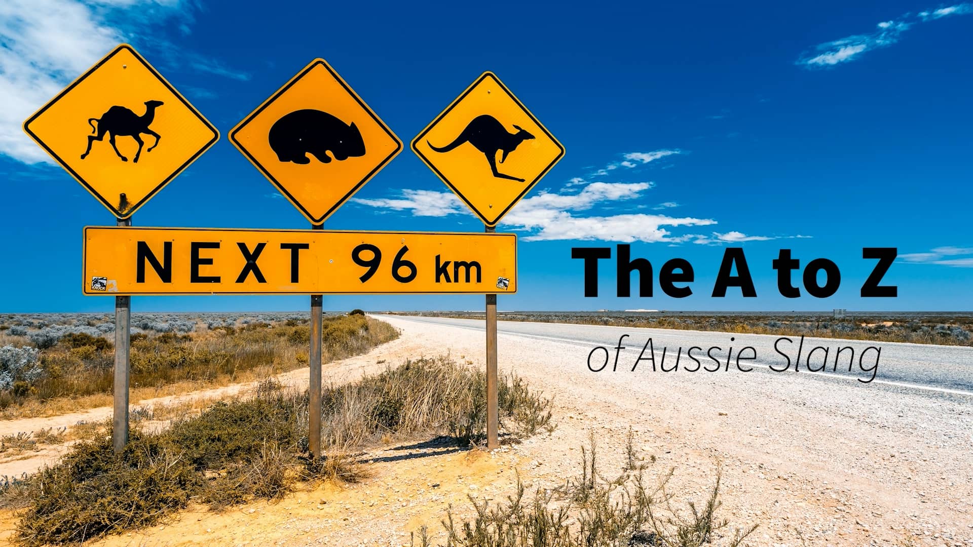 Ukulele Steve Straya's Slang Legend on Vimeo