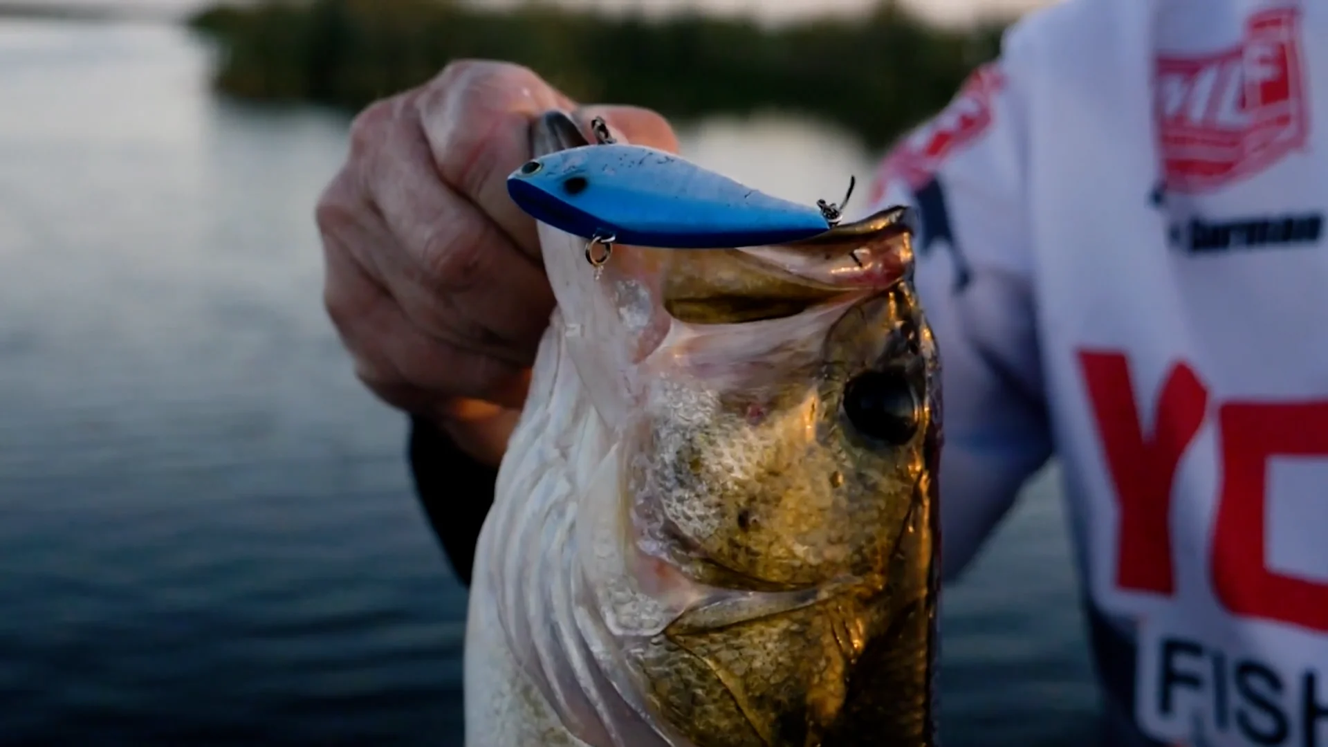 Yo-Zuri Rattl'N Vibe One Knock 5/8 oz. Lipless Crankbait Yo-Zuri Rattl'N Vibe One Knock 5/8 oz. Lipless Crankbait