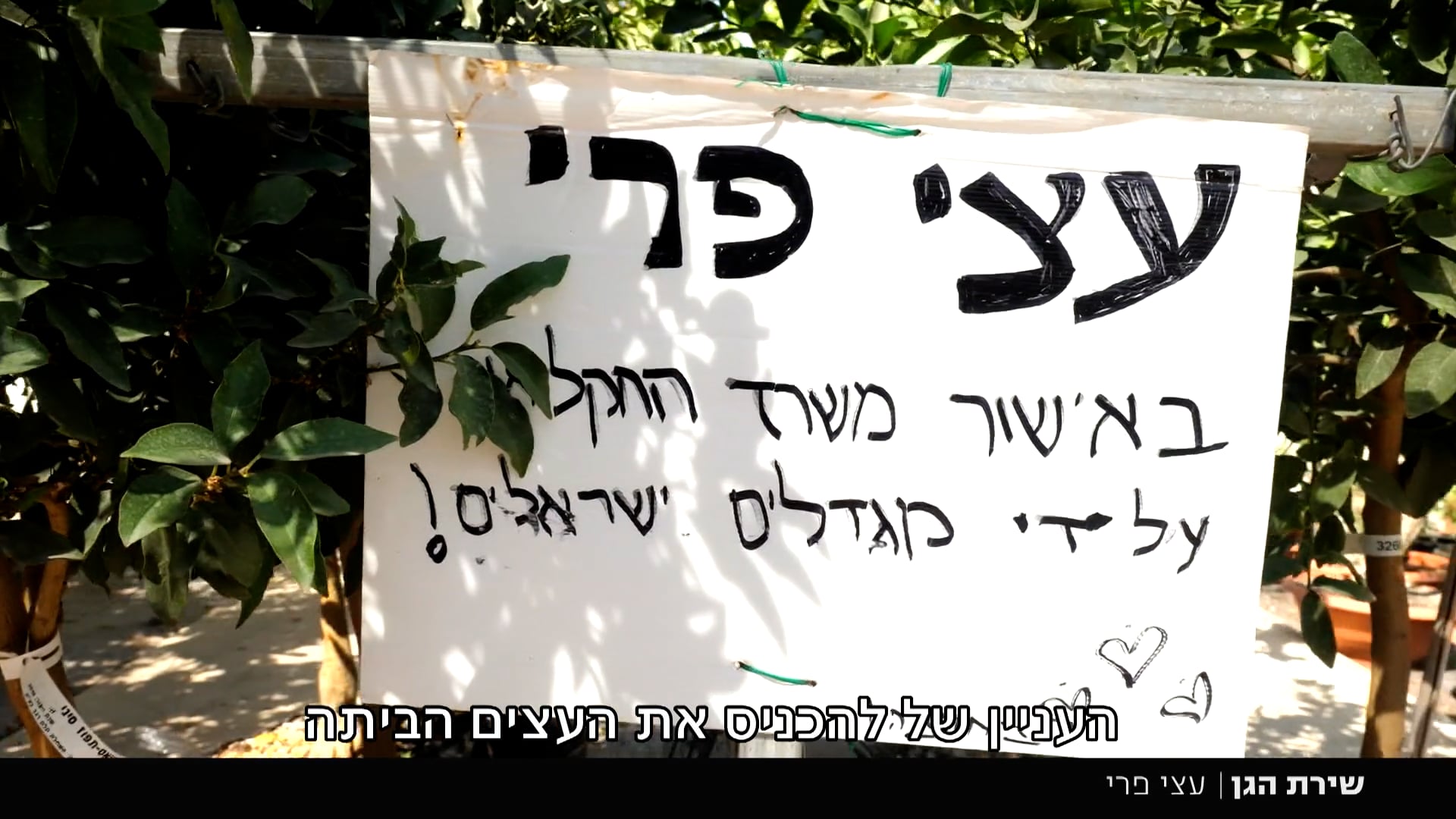 שירת הגן-עצי פרי