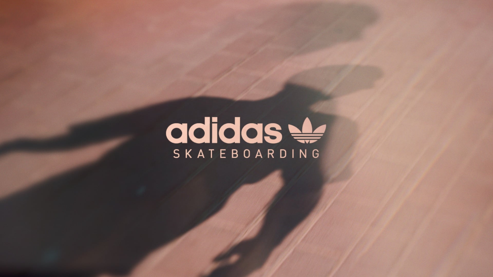 Adidas Skateboarding - Dubai