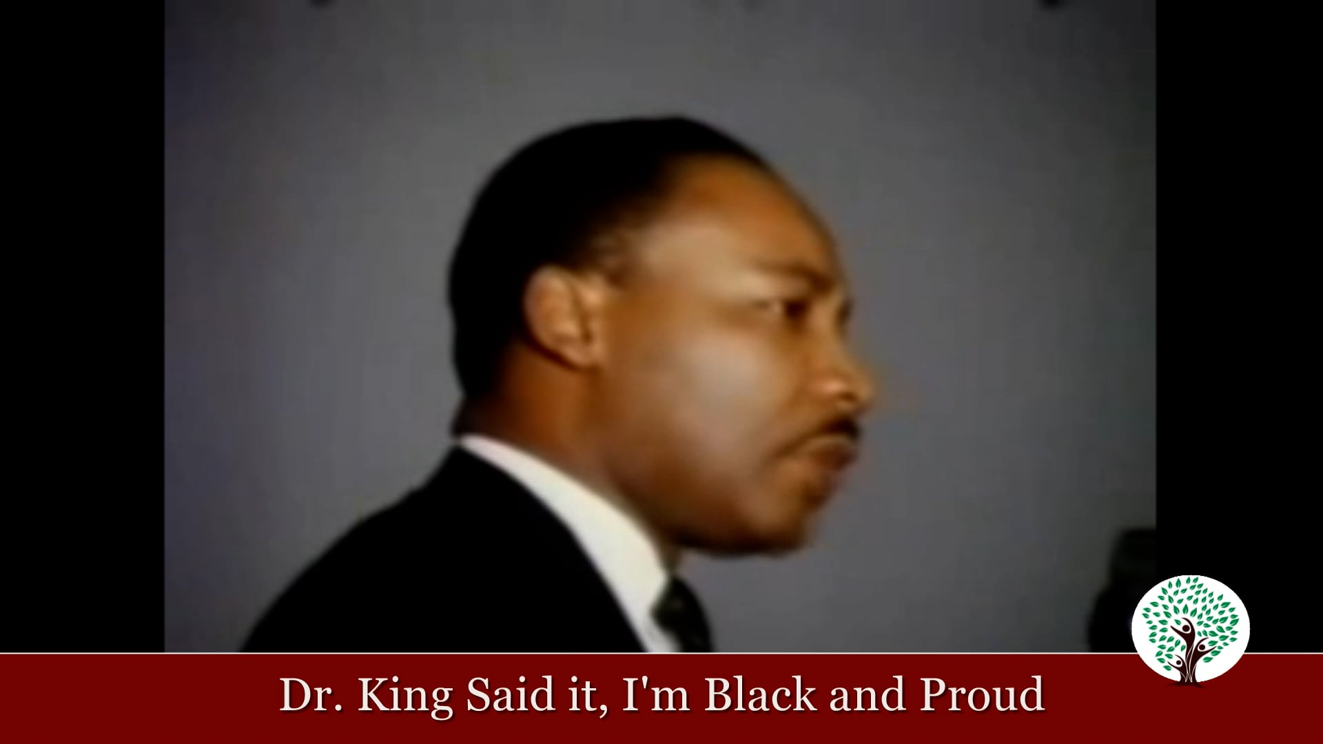 Grace Arms Mlkjr