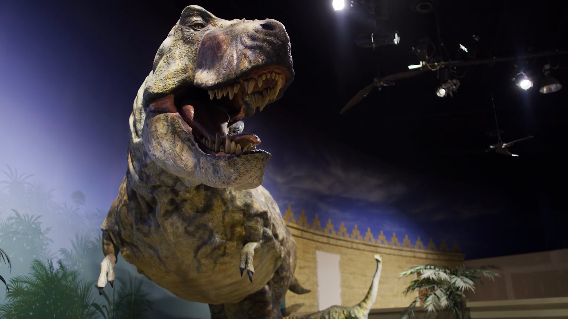  journey through the creation museum teaser trailer on vimeo