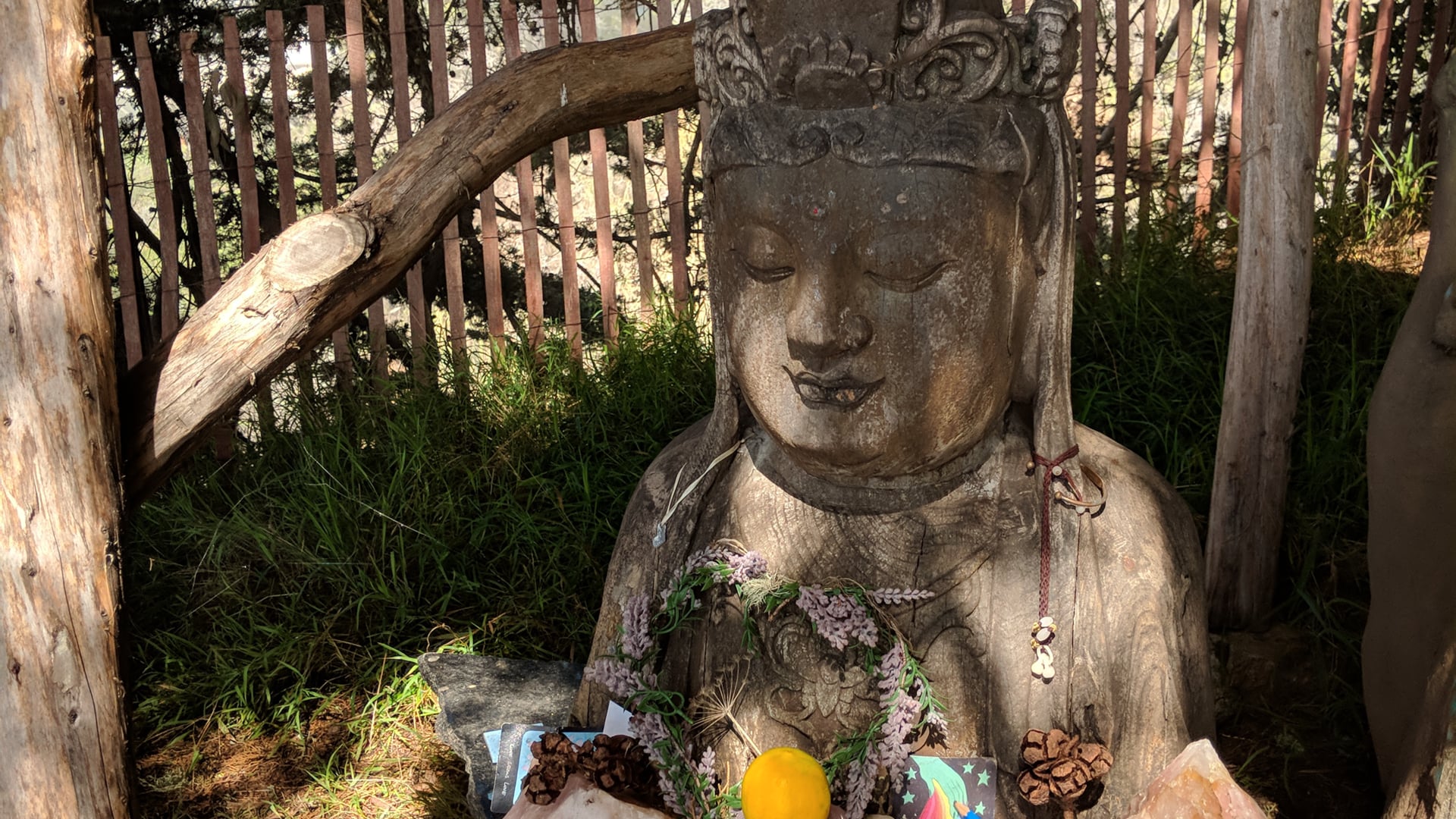 2021 November 22: The Practice of Generosity