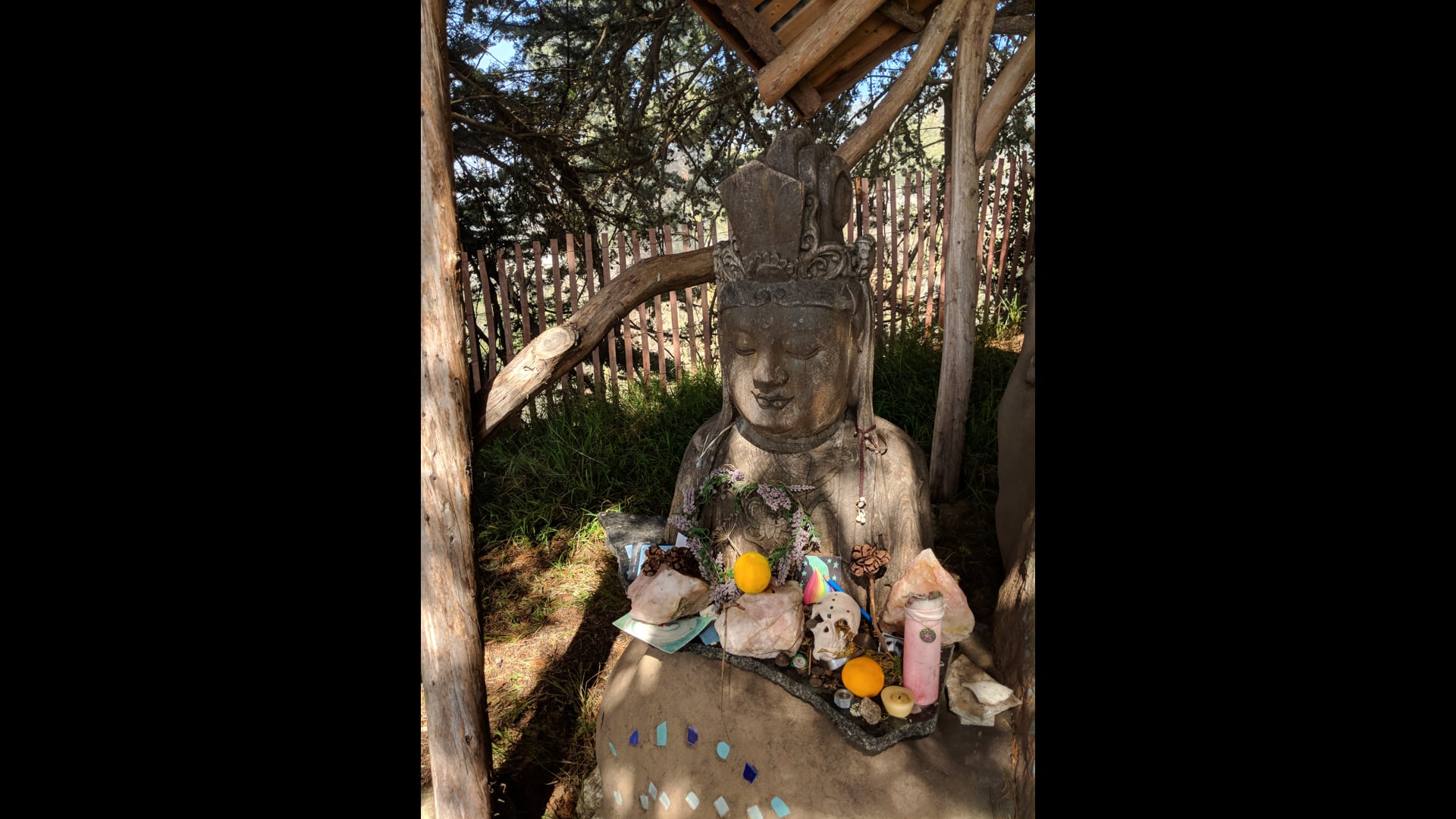 2021 November 22: The Practice of Generosity