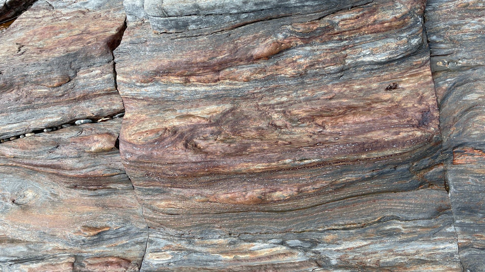 2021 November 25 : Gratitude on Thanksgiving