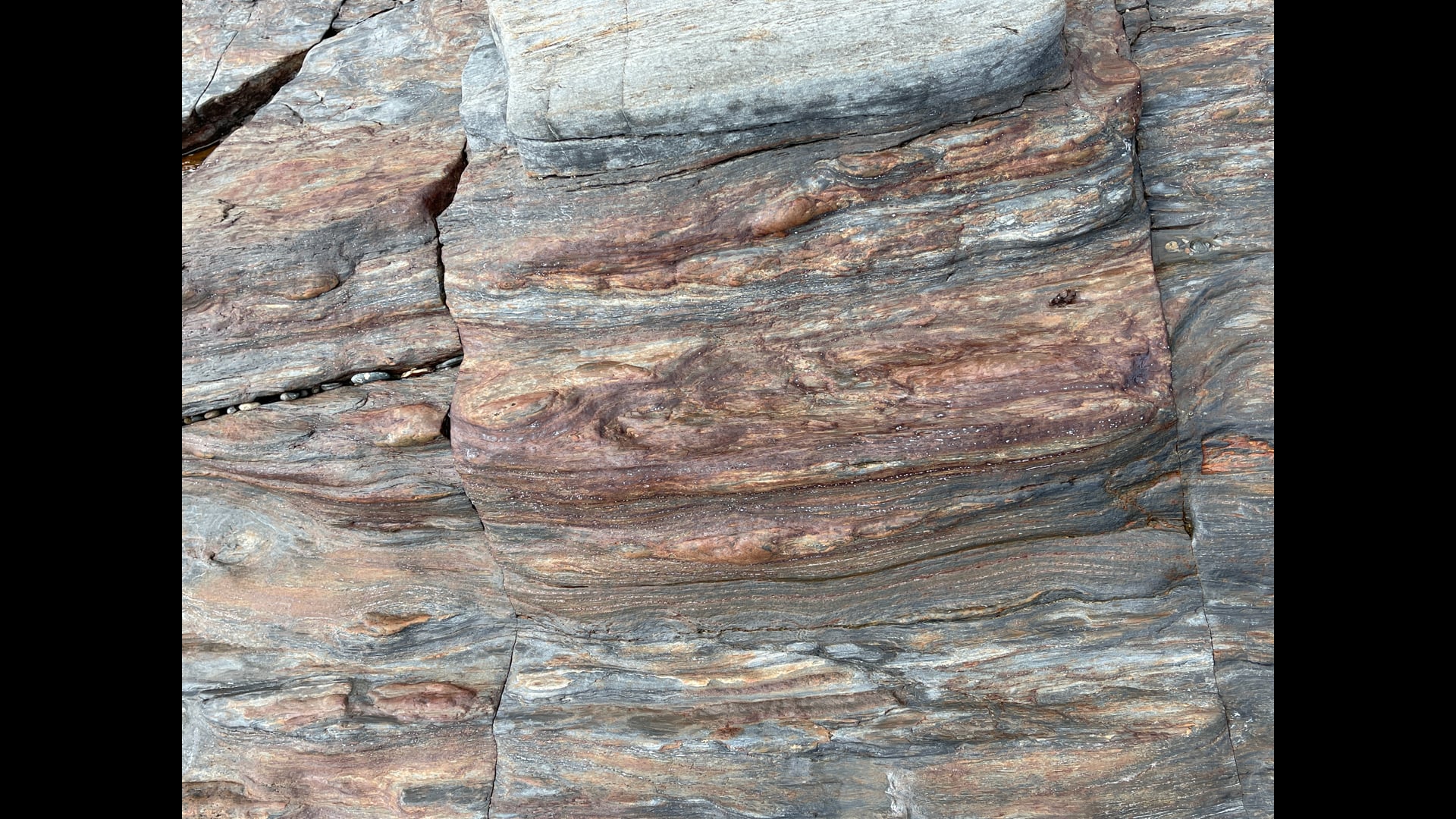 2021 November 25 : Gratitude on Thanksgiving