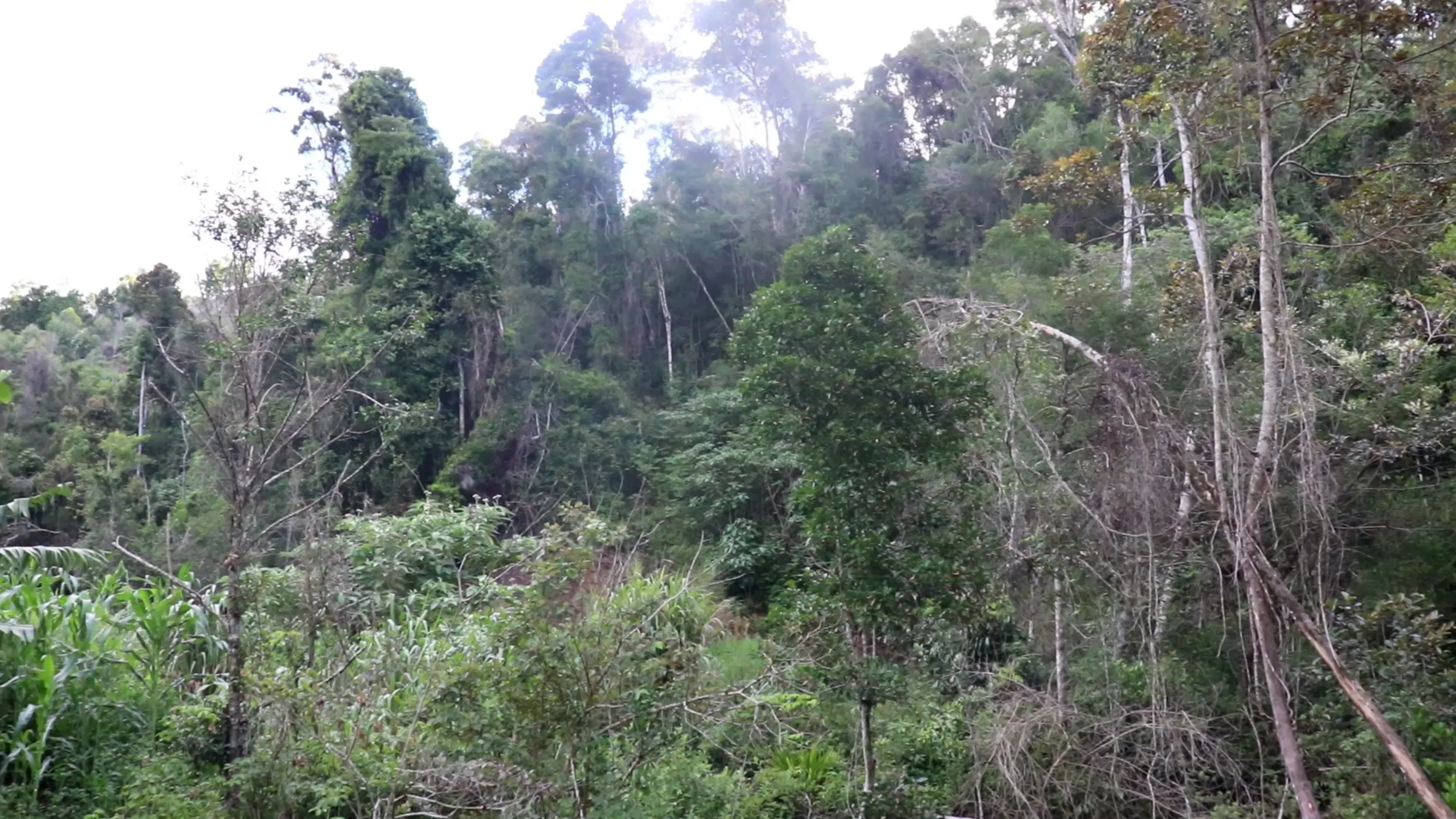 Dr. Harisoa Ravaomanalina on Vimeo