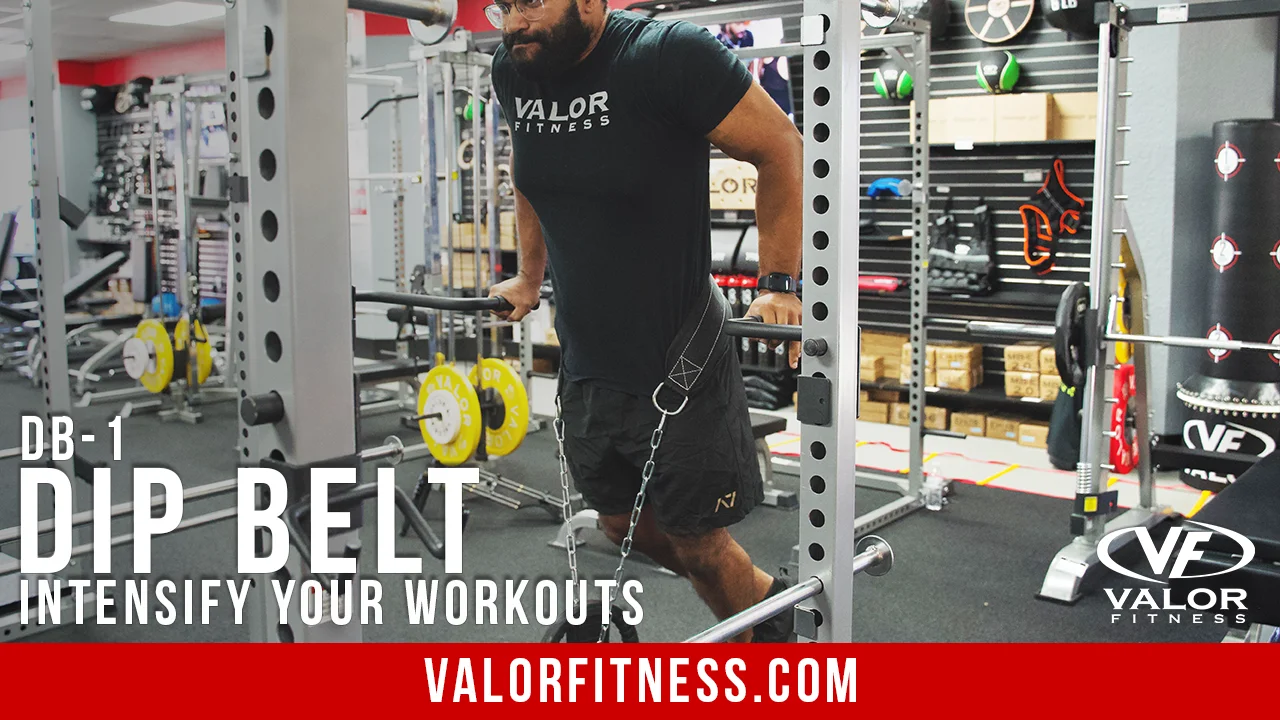 Valor Fitness DB 1 Dip Belt