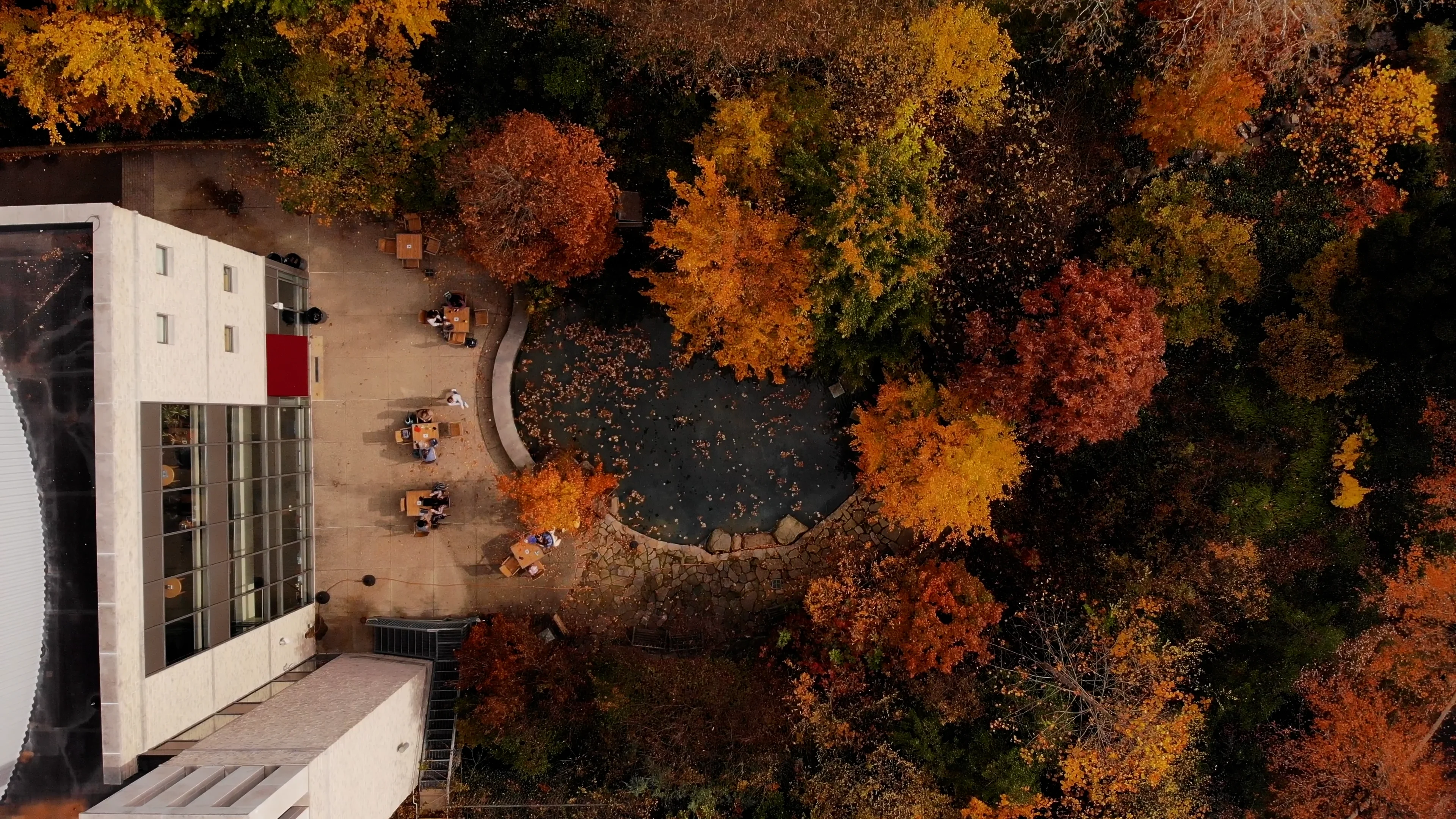 2021 Fall Foliage Video Web Hero on Vimeo