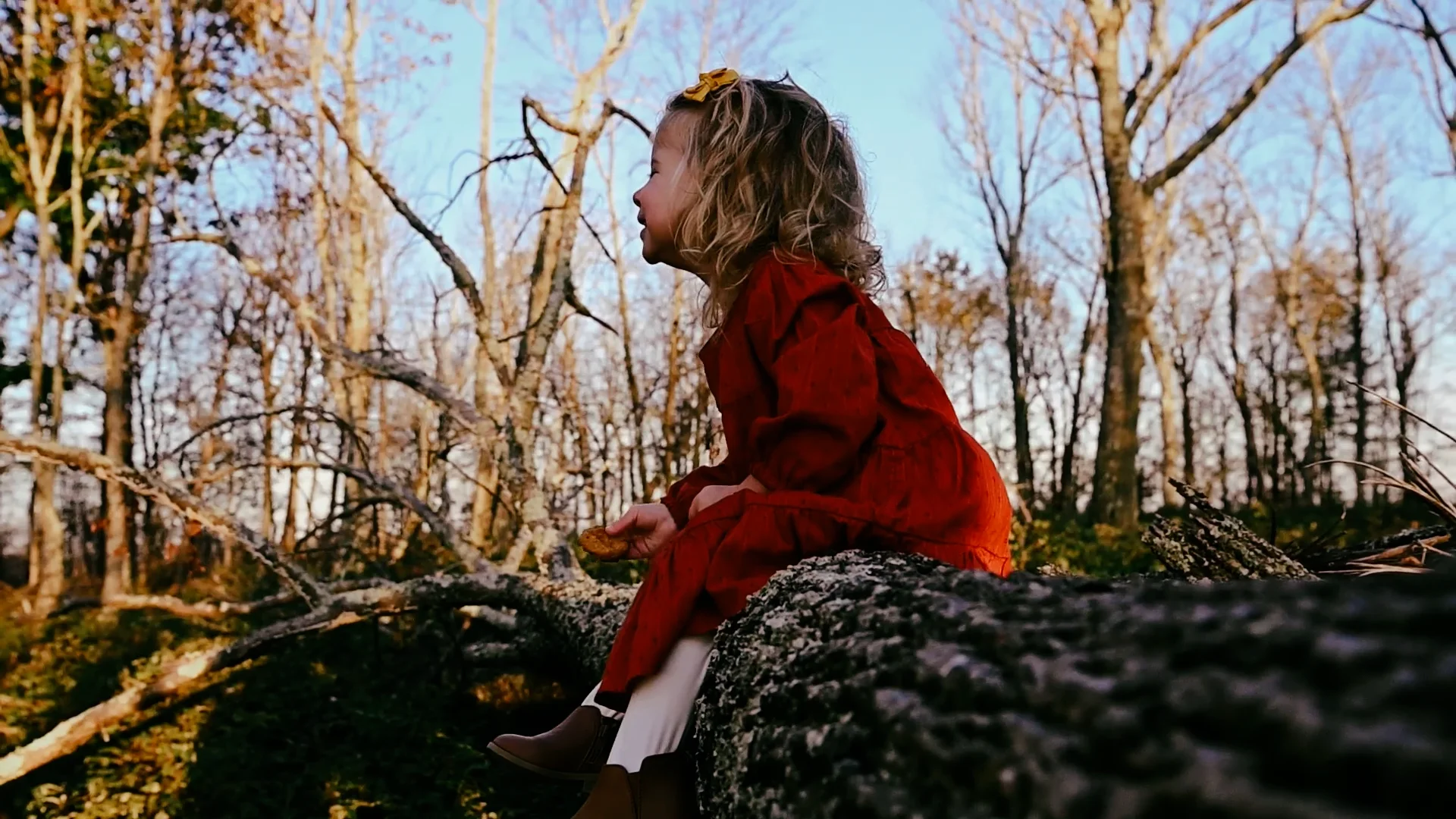Mullally Fall 2021.mp4 on Vimeo