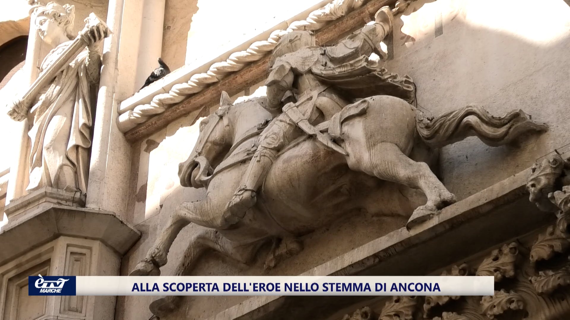 Alla scoperta dell'eroe nello stemma di Ancona - VIDEO