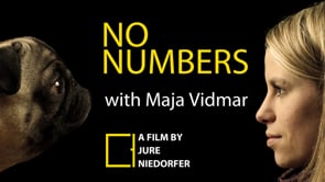 NO NUMBERS