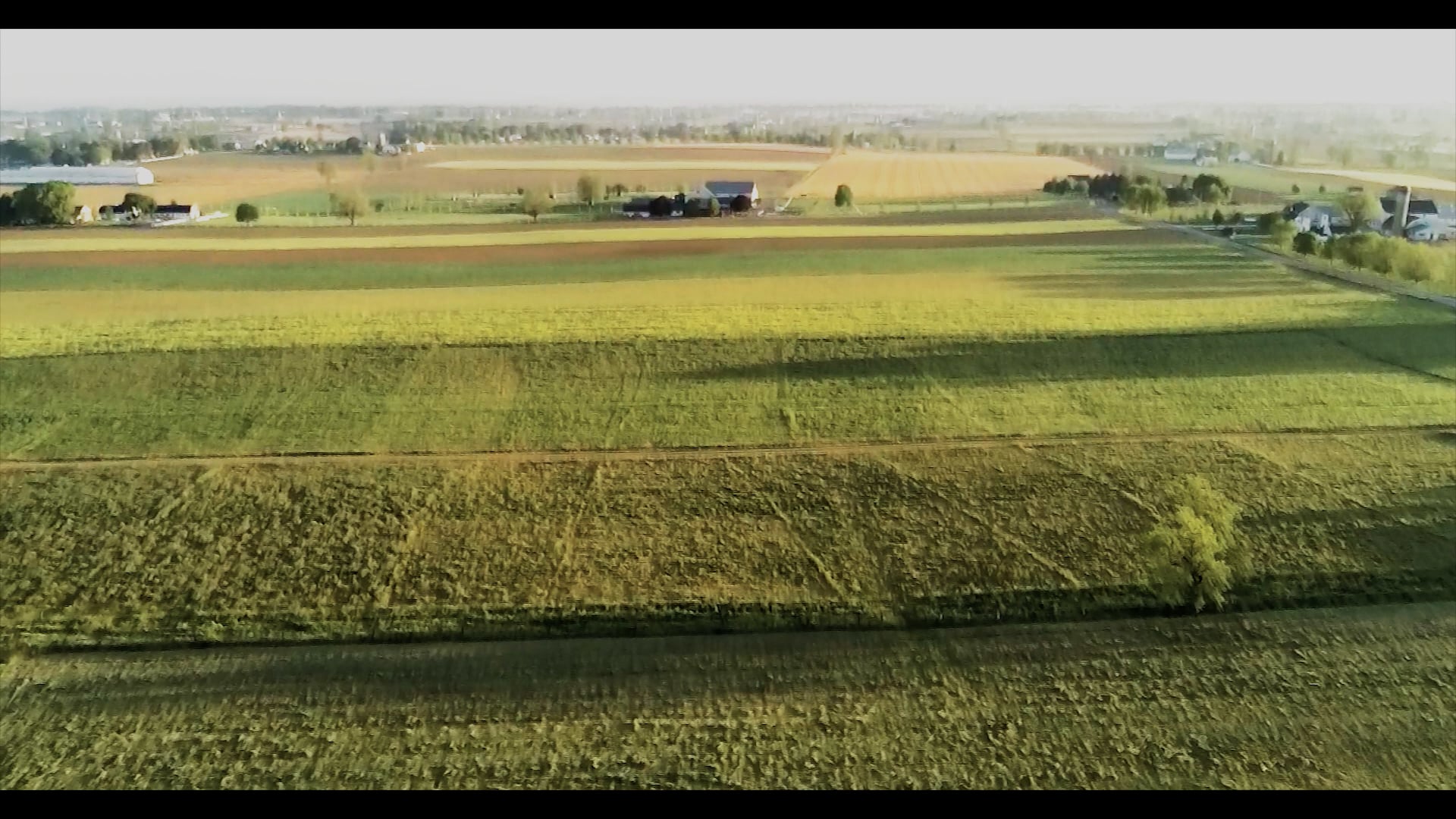 US Hot Air Balloon - Social Media Awareness Video