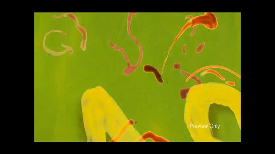 William’s Creatures