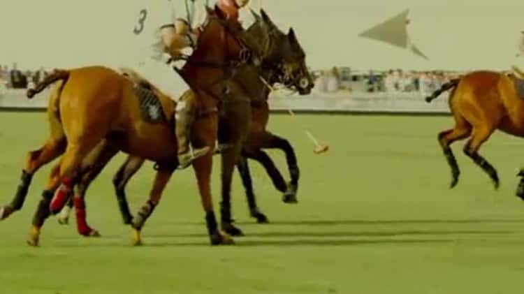 jack wills varsity polo