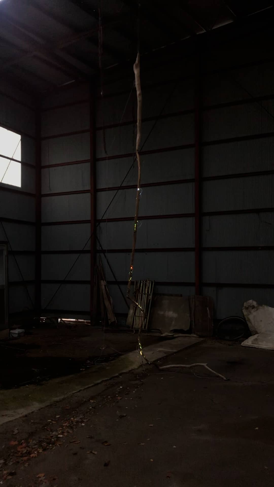 弓月光 Explore Tumblr Posts And Blogs Tumgir