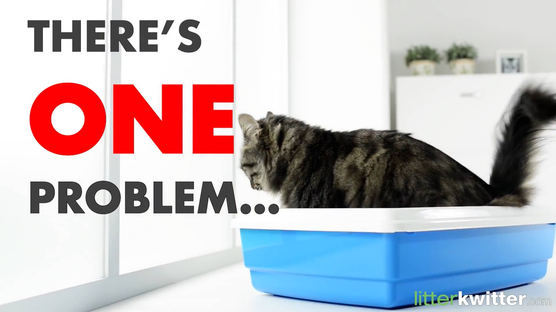 Litter Kwitter Cat Toilet Training System on Vimeo