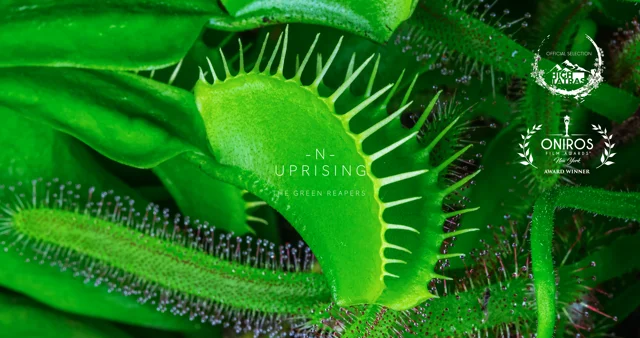 This Menacing Carnivorous Plant Timelapse Is A Horror Movie For