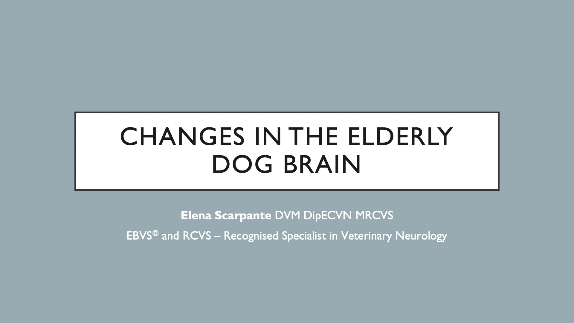 Changes in the elderly dog brain