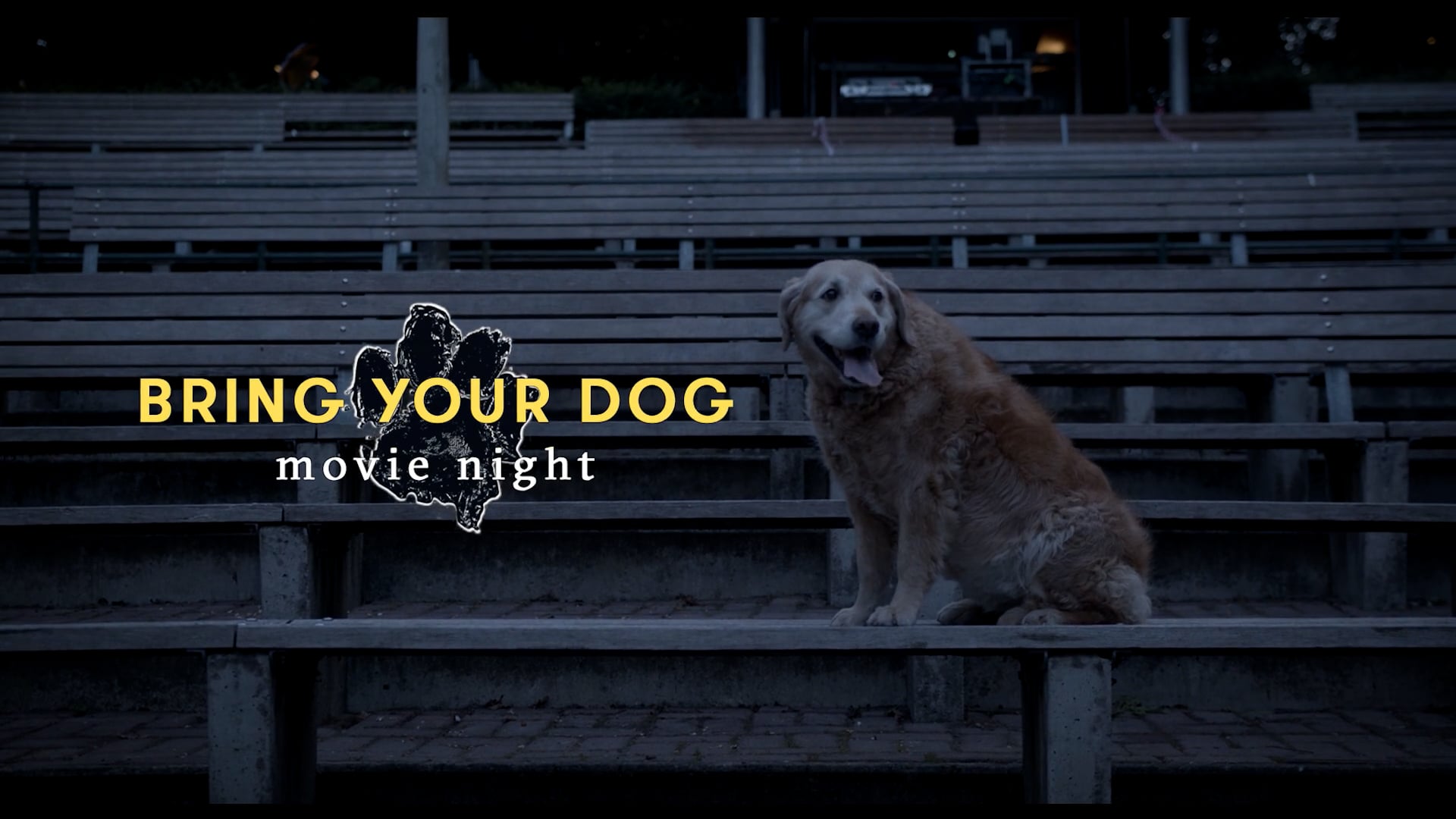 Bring Your Dog movie night 2