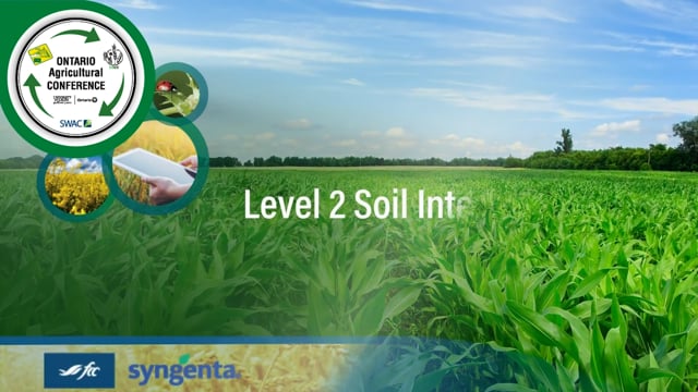 Level 2 Soil Interactions