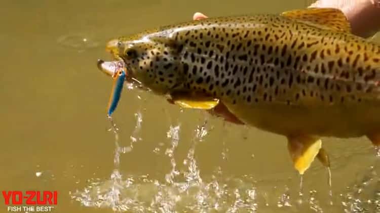 Yo-Zuri - Trout Fishing New Color Pins Minnow on Vimeo